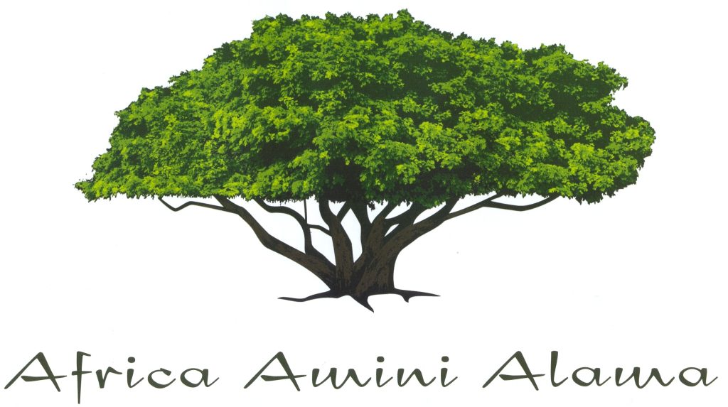 Logo Africa Amini Alama Deutschland