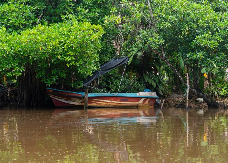 A boat moored on Bentota River, Sri Lanka