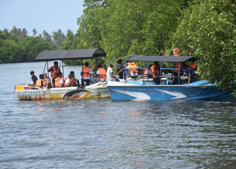 DER Touristik Foundation Projekt Sri Lanka Mangrovenschutz