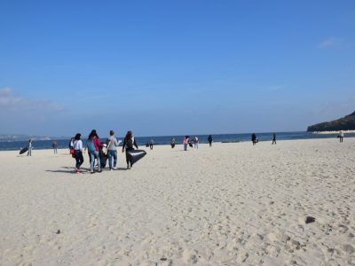 Reinigung am Strand